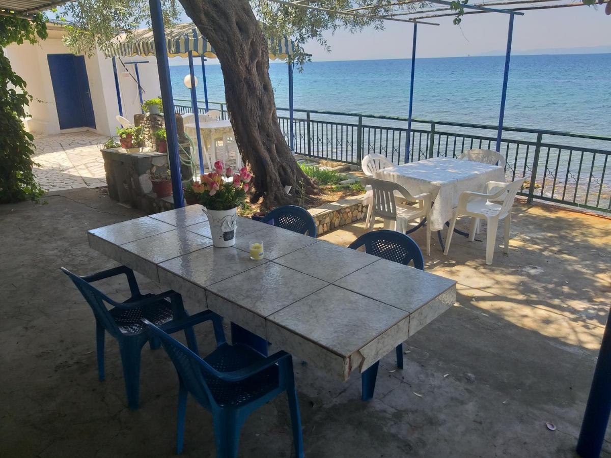 Sea View Bungalows สกาลา กัลลีราคิส ภายนอก รูปภาพ
