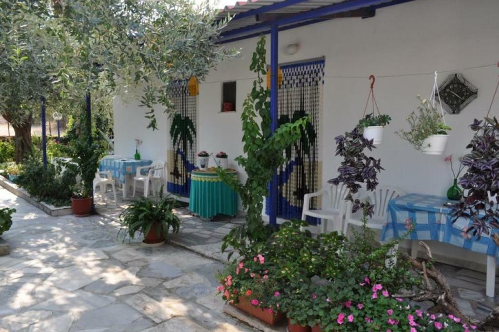 Sea View Bungalows สกาลา กัลลีราคิส ภายนอก รูปภาพ