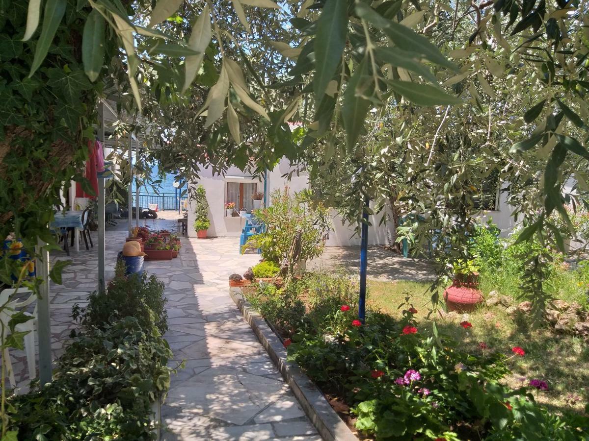 Sea View Bungalows สกาลา กัลลีราคิส ภายนอก รูปภาพ