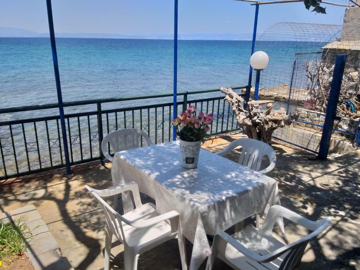 Sea View Bungalows สกาลา กัลลีราคิส ภายนอก รูปภาพ