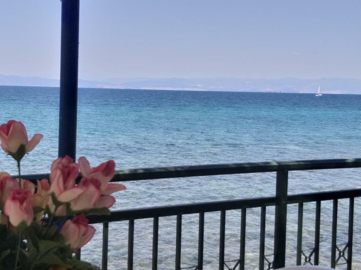 Sea View Bungalows สกาลา กัลลีราคิส ภายนอก รูปภาพ