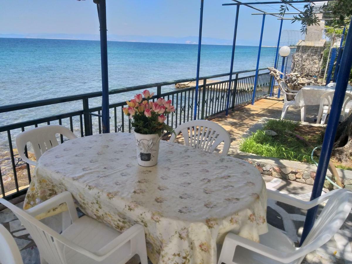 Sea View Bungalows สกาลา กัลลีราคิส ภายนอก รูปภาพ
