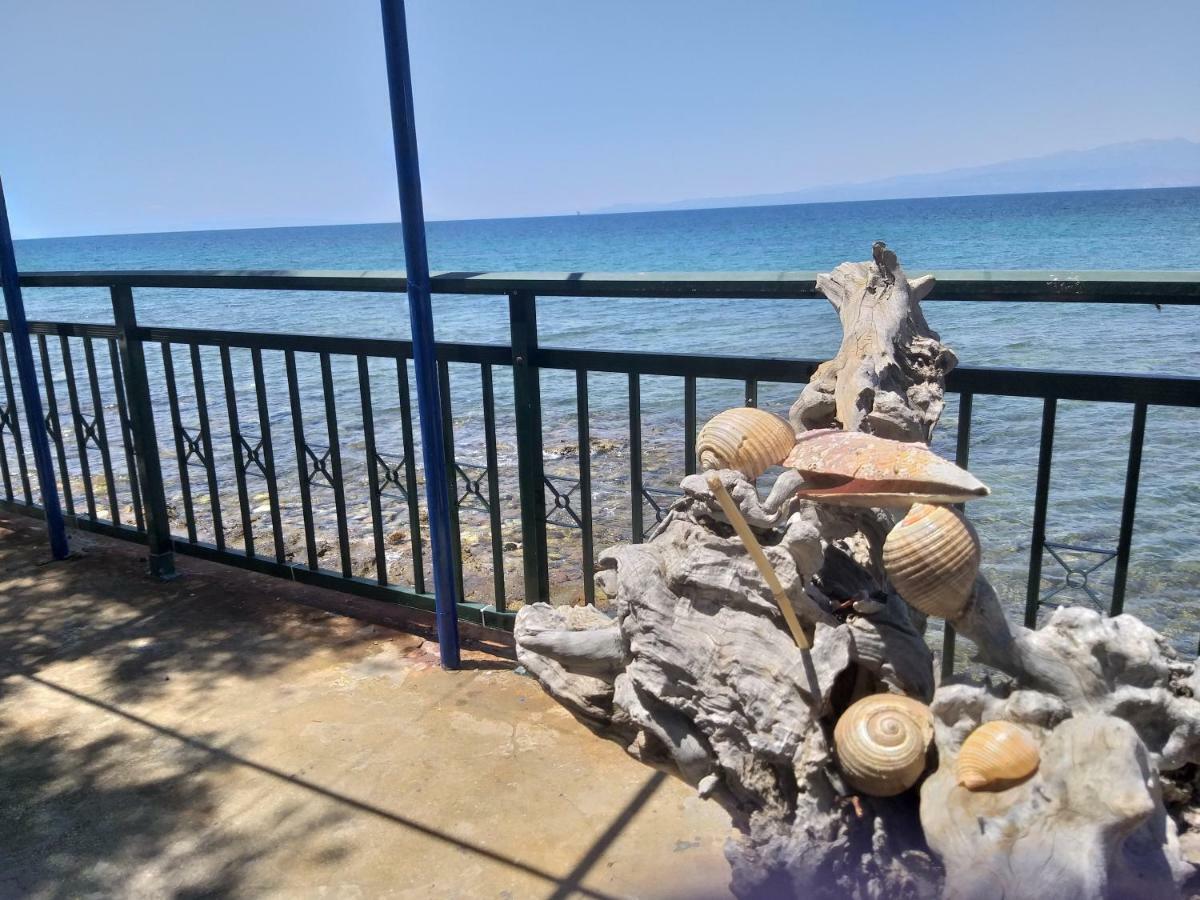 Sea View Bungalows สกาลา กัลลีราคิส ภายนอก รูปภาพ