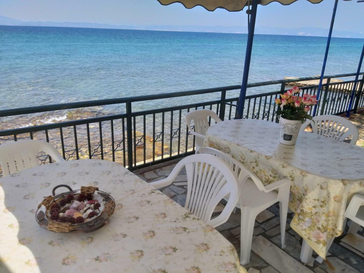 Sea View Bungalows สกาลา กัลลีราคิส ภายนอก รูปภาพ